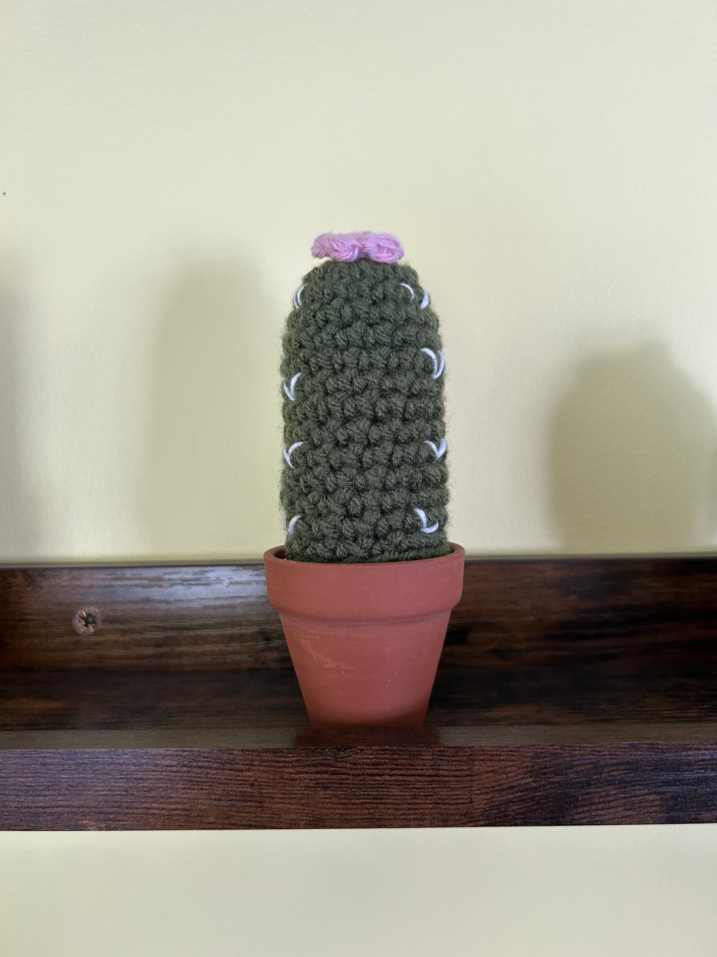 Crochet desk cactus