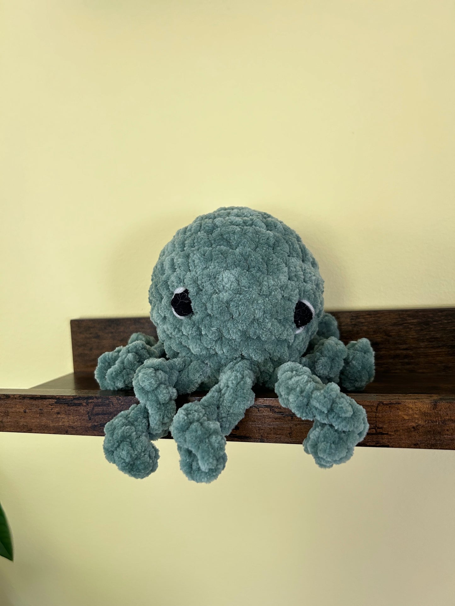 Octopus