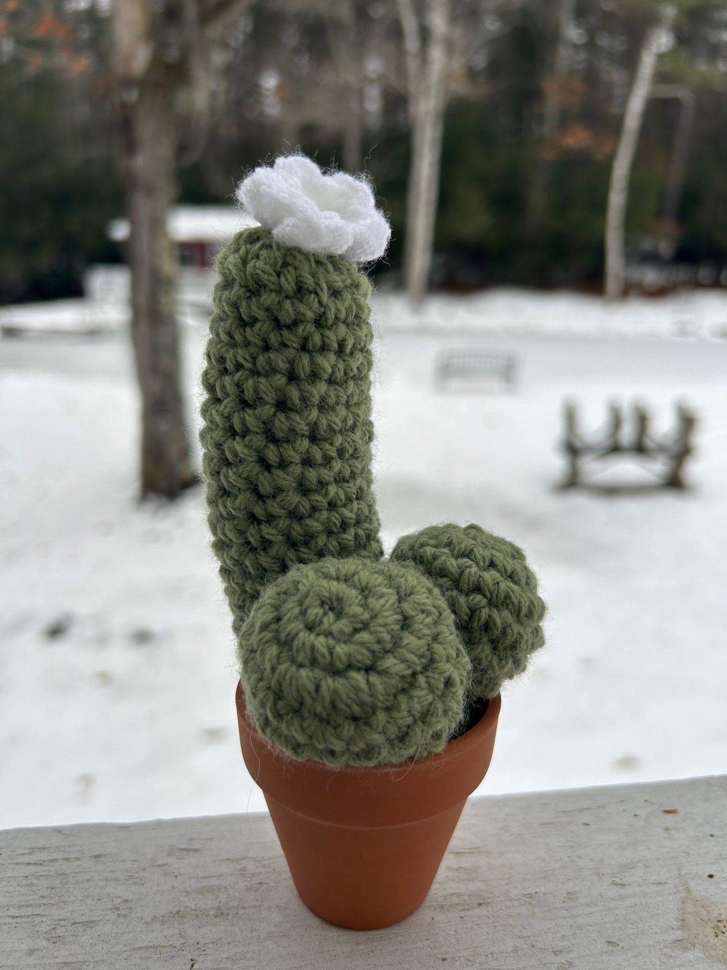 Crochet desk cactus