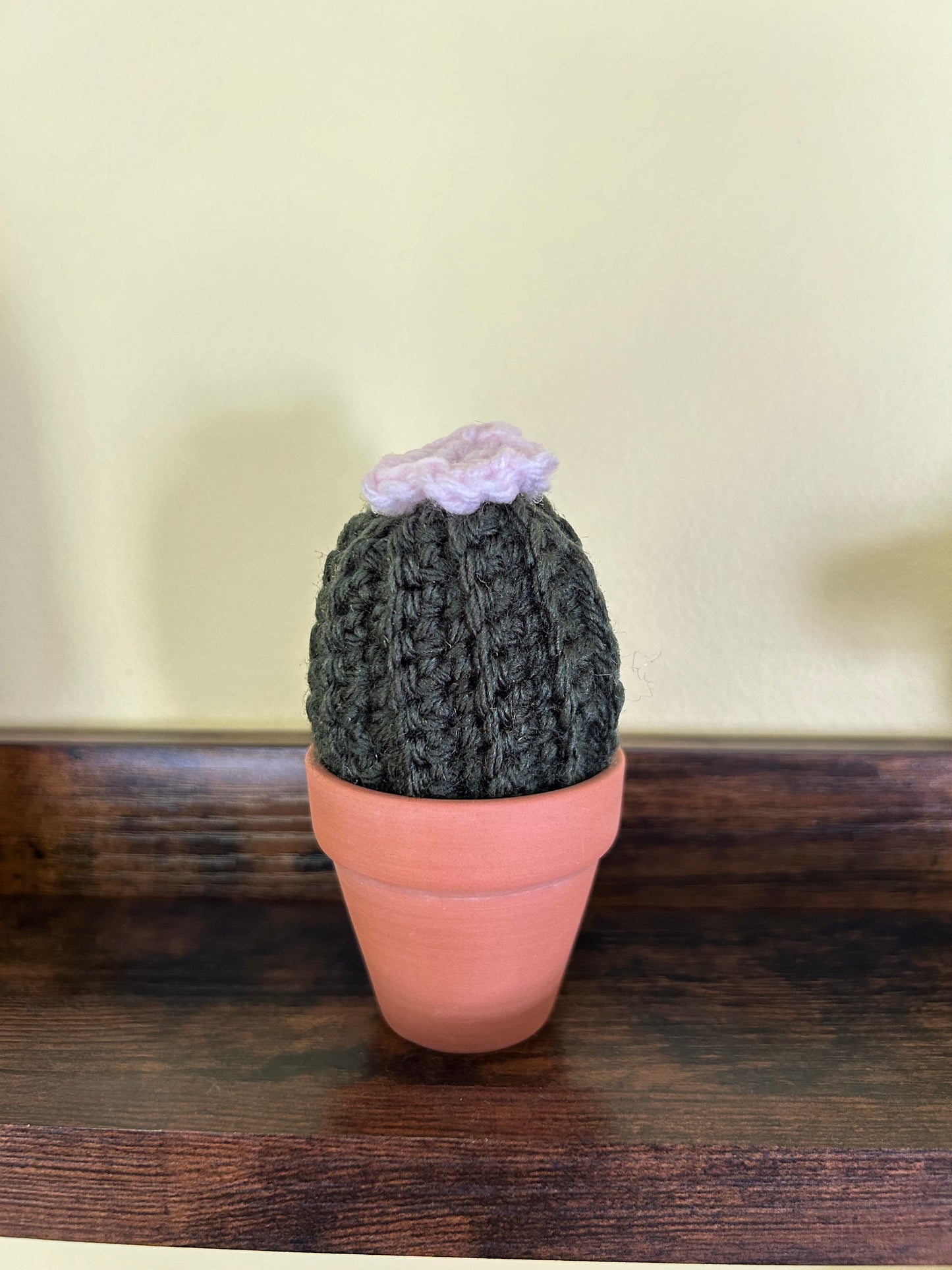 Crochet desk cactus