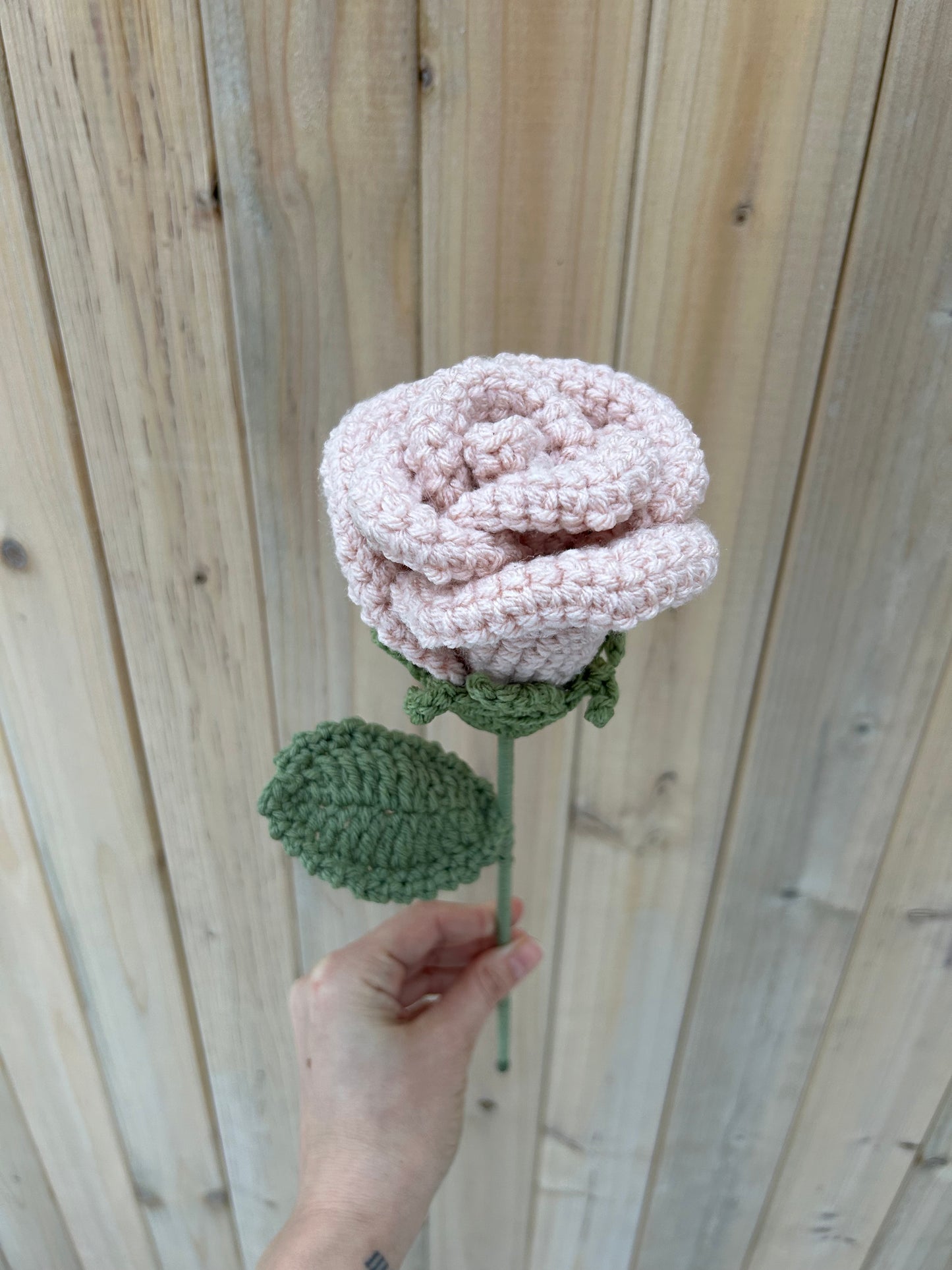 Premium forever roses