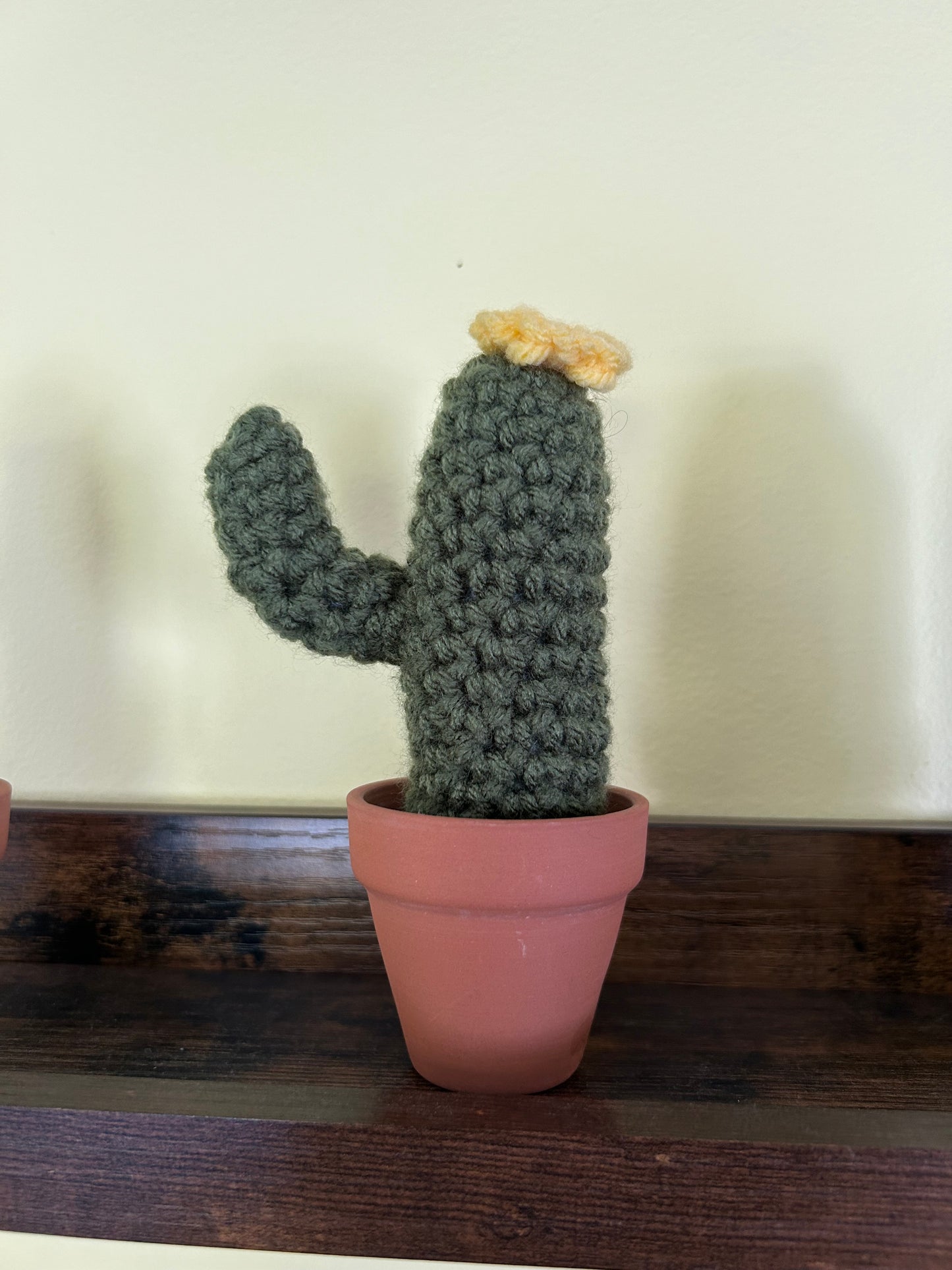 Crochet desk cactus