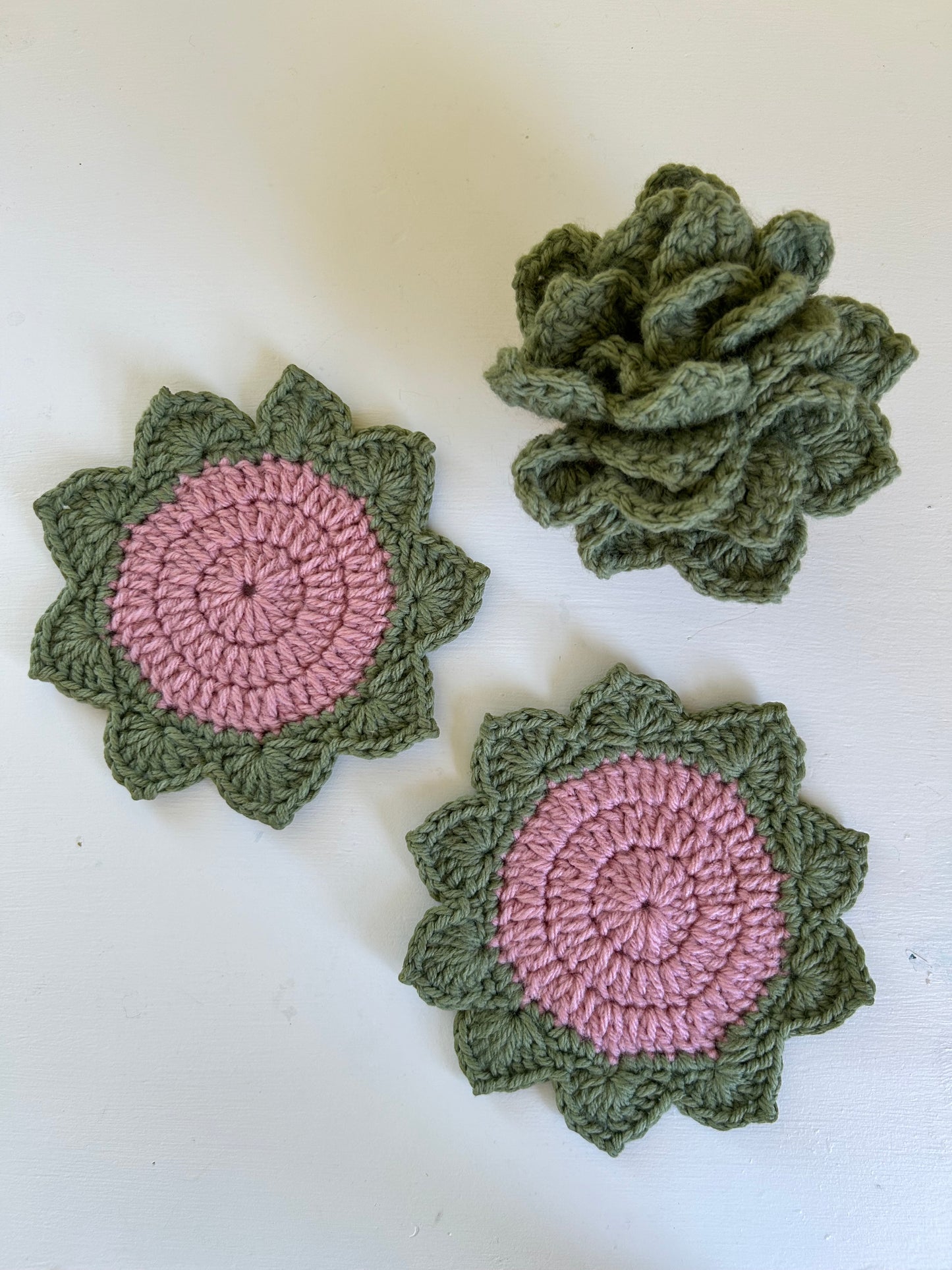 Succulent Coasters